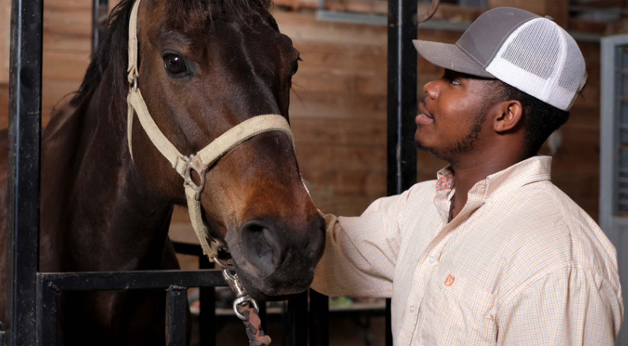 Student working with a horse